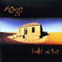 Виниловая пластинка Midnight Oil / Diesel And Dust (1LP)