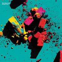 Виниловая пластинка Tim Bowness / Powder Dry (coloured) (1LP)