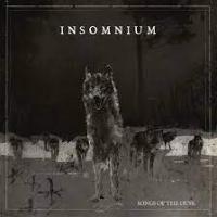 Виниловая пластинка Insomnium / Songs Of The Dusk EP (EP, Etching Side B) (1LP)
