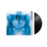 Виниловая пластинка Lorde / Virgin (1LP)