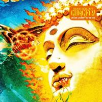 Компакт-диск Rikard Sjoblom’s Gungfly / On Her Journey To The Sun (2CD)