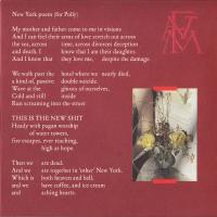 Виниловая пластинка Florence And The Machine / SKY FULL OF SONG - RSD 2018 RELEASE - CLEAR VINYL (1LP)