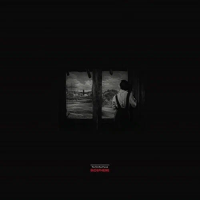 Виниловая пластинка Biosphere / The petrified forest (1LP)
