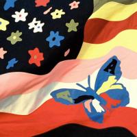 Виниловая пластинка The Avalanches / Wildflower (2LP)