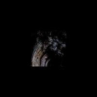 Виниловая пластинка Brunnen / The garden of perpetual dreams (1LP)