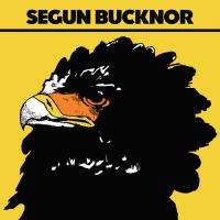 Виниловая пластинка BUCKNOR SEGUN / SEGUN BUCKNOR (1LP)