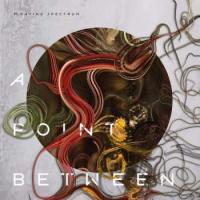 Виниловая пластинка Floating Spectrum / A Point Between (Coloured Vinyl) (1LP)