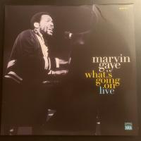 Виниловая пластинка Marvin Gaye / What'S Going On (Turquoise Vinyl) (2LP)