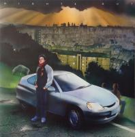 Виниловая пластинка Metronomy / Nights Out (Black) (1LP)