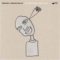 Виниловая пластинка MESHELL NDEGEOCELLO / THE OMNICHORD REAL BOOK(2LP)