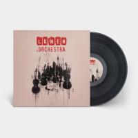 Виниловая пластинка Lumen / Lumen & orchestra (1LP)