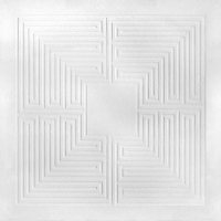 Виниловая пластинка These New Puritans / Hidden (MMXX) (2LP)