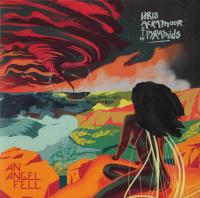 Виниловая пластинка Idris Ackamoor / An Angel Fell (2LP)