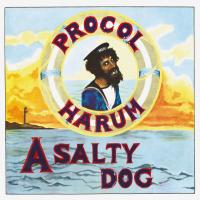 Виниловая пластинка Procol Harum / A Salty Dog (LP) Виниловая пластинка Procol Harum / A Salty Dog (LP)