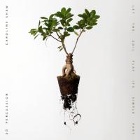 Компакт-диск Caroline Shaw, So Percussion / Let The Soil Play Its Simple Part (CD)