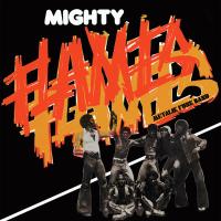 Виниловая пластинка Mighty Flames / Metalik Funk Band (LP)