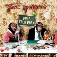 Компакт-диск Fair Warning / Pimp Your Past (Jewel) (1CD)