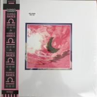 Виниловая пластинка Django Django / Marble Skies (2LP)