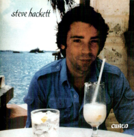 Виниловая пластинка Steve Hackett / Cured