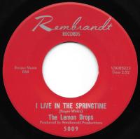 Виниловая пластинка DROPS / LIVE (1LP)