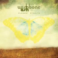 Виниловая пластинка Wishbone Ash / Elegant Stealth (1LP)
