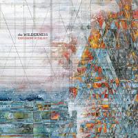 Виниловая пластинка Explosions In The Sky / Wilderness (2LP)