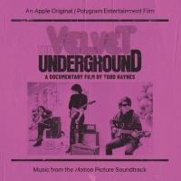 Виниловая пластинка Velvet Underground / Velvet Underground: a Documentary Film By Todd Haynes (2LP)