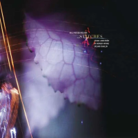 Виниловая пластинка Nils Petter Molvaer / Stitches (Black) (2LP)