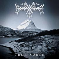 Компакт-диск Borknagar / True North (CD)