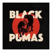 Виниловая пластинка BLACK PUMAS / Black Pumas (1LP)