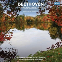Виниловая пластинка Radio Symphony Orchestra Ljubljana / Symphony No 5, Egmont Overture (coloured) (1LP)