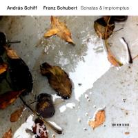 Компакт-диск Andras Schiff / Franz Schubert: Sonatas & Impromptus (2CD)