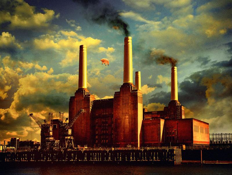 Страсти по Animals: споры Уотерса и Гилмора