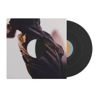 Виниловая пластинка Pixies / The Night the Zombies Came (1LP)