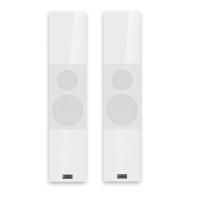 Настенная акустика AUDIO PHYSIC CLASSIC OnWall 2 -Glass White High Gloss-