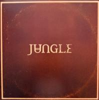 Виниловая пластинка Jungle / Sunshine (2LP)