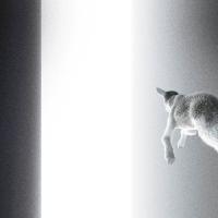 Виниловая пластинка Panoram / Keep looking where the light comes from (1LP)
