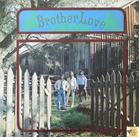 Виниловая пластинка LOVE BROTHER / BROTHER LOVE (1LP)