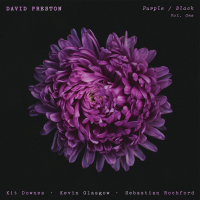 Виниловая пластинка Dave Preston / Purple / black vol: one (1LP)