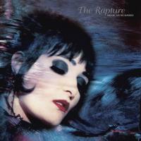 Виниловая пластинка Siouxsie & The Banshees / The Rapture (2LP)