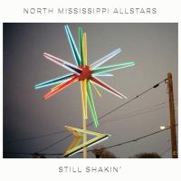 Виниловая пластинка North Mississippi Allstars / Still Shakin' (1LP)