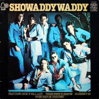 Виниловая пластинка Showaddywaddy / Showaddywaddy (LP)