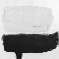 Виниловая пластинка Paperi T / Joka Paiva Jotain Katoaa (1LP)