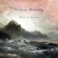 Виниловая пластинка Dermot Kennedy / Doves & Ravens (1LP)