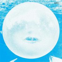 Компакт-диск Wilco / Summerteeth (Limited Edition Box Set)(4CD)