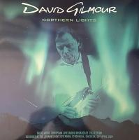 Виниловая пластинка David Gilmour / Northern Lights (coloured) (2LP)