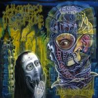 Компакт-диск Hammers Of Misfortune / Dead Revolution (RU)(CD)