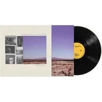 Виниловая пластинка Nathaniel Rateliff & The Night Sweats / South of Here (1LP)