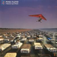 Виниловая пластинка Pink Floyd / A Momentary Lapse Of Reason - Remixed & Updated Виниловая пластинка Pink Floyd / A Momentary Lapse Of Reason - Remixed & Updated