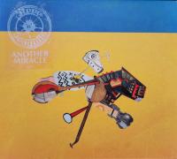 Компакт-диск Steve 'n' Seagulls / Another Miracle (Digisleeve) (1CD)